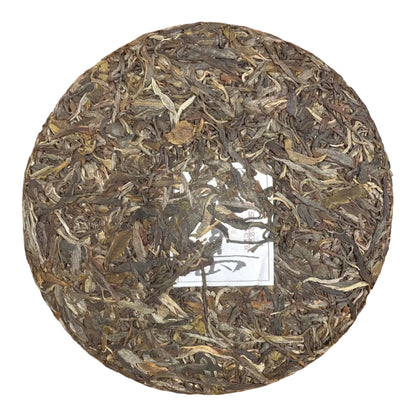 Bing Dao Gu Shu 2023, 357 g