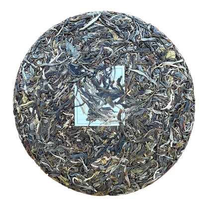 Bing Dao Gu Shu 2023, 357 g