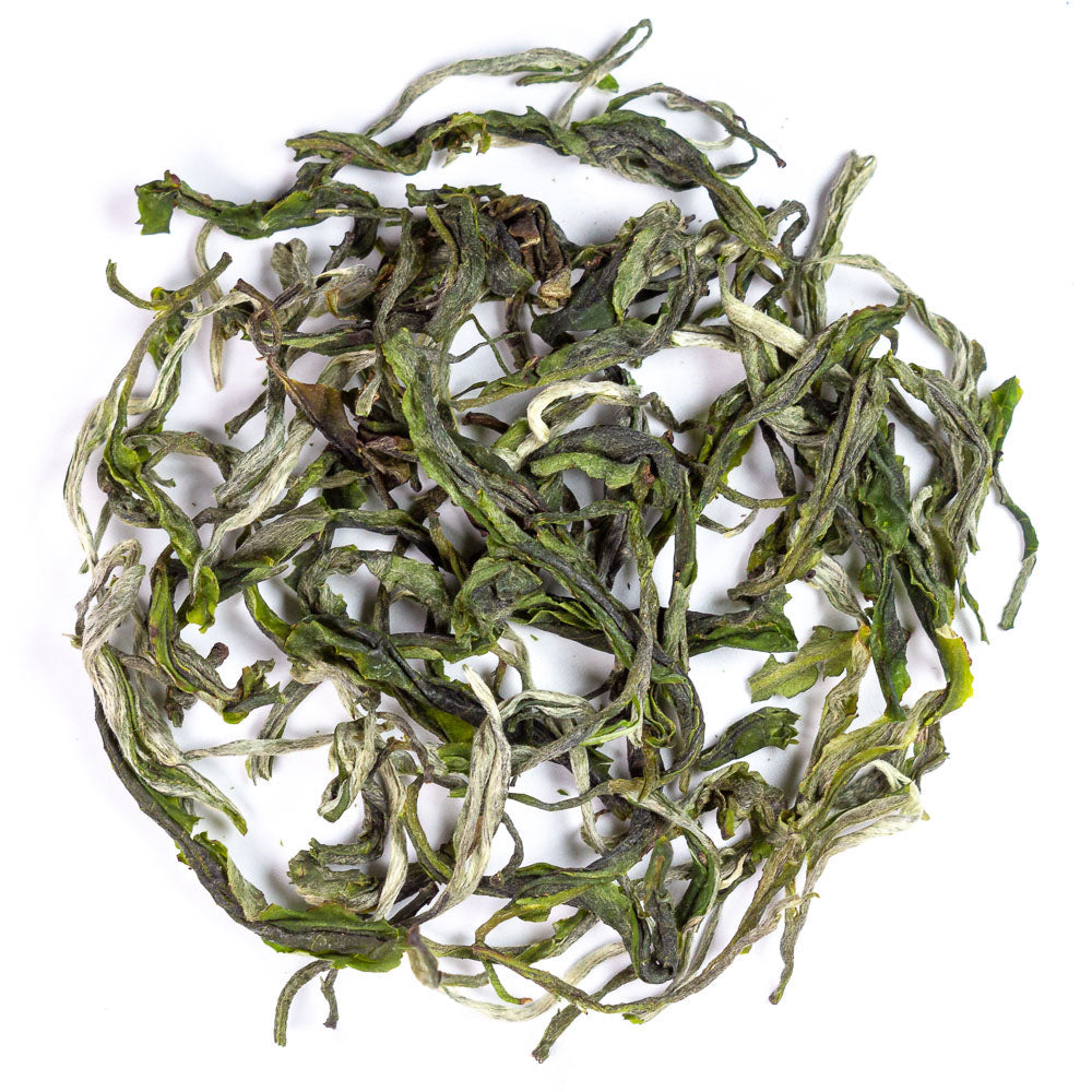 Yunnan Early Spring Mao Feng, 2025