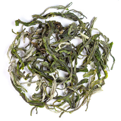 Yunnan Early Spring Mao Feng, 2025