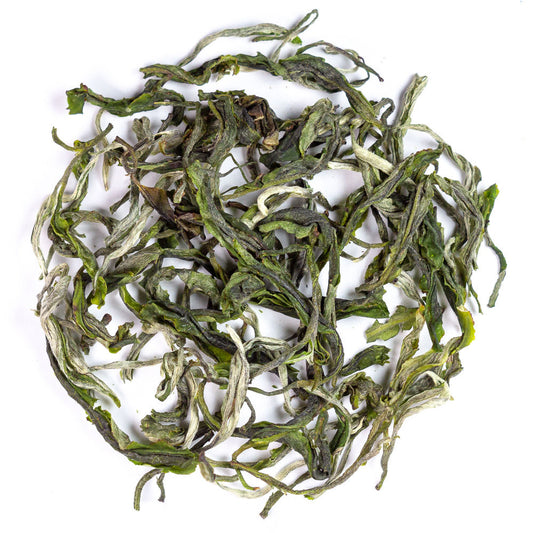 Yunnan Early Spring Mao Feng, 2025