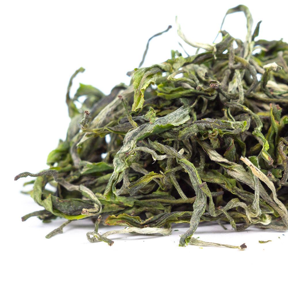 Yunnan Early Spring Mao Feng, 2025