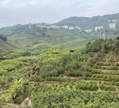 Wudong Mi Lan Xiang Lao Cong